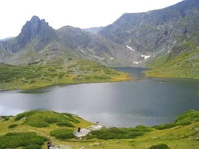 Royal Plaza - A409 דירה בורובץ